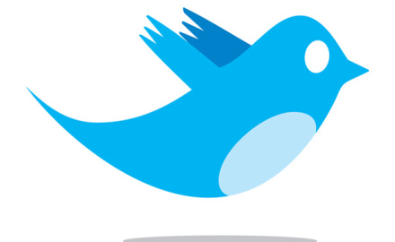 twitter_bird_logo_by_biz-stone