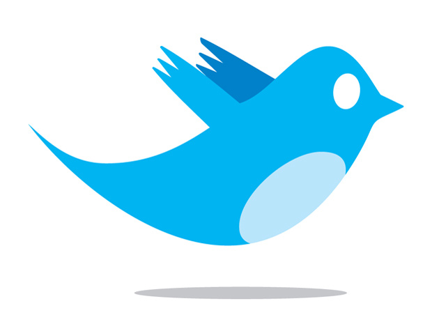 twitter_bird_logo_by_biz-stone