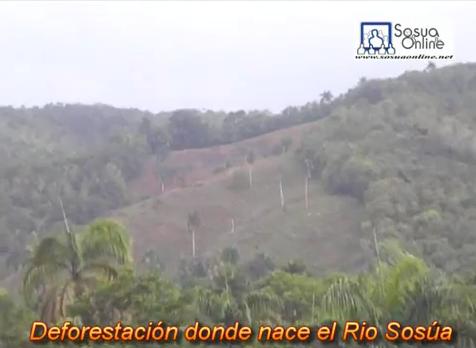 deforestan_donde_nace_rio_sosua