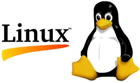 linux-18667890-