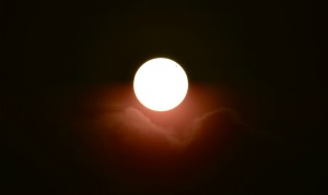 transito_de_venus_por_el_sol6745