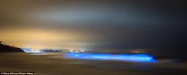 La-misteriosa-luz-azul-ilumina-playa-durante-medianoche-en-California534697_1