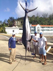 MARLIN-CAPTURADO-FRENTE-A-CABARETE-225x300