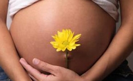 embarazada-flor