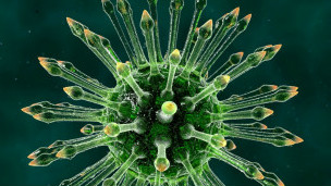 hiv_virus_304x171_bbc_nocredit