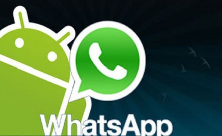 WhatsApp-distingue-usuarios-Apple-plataformas_TINIMA20130307_0225_5