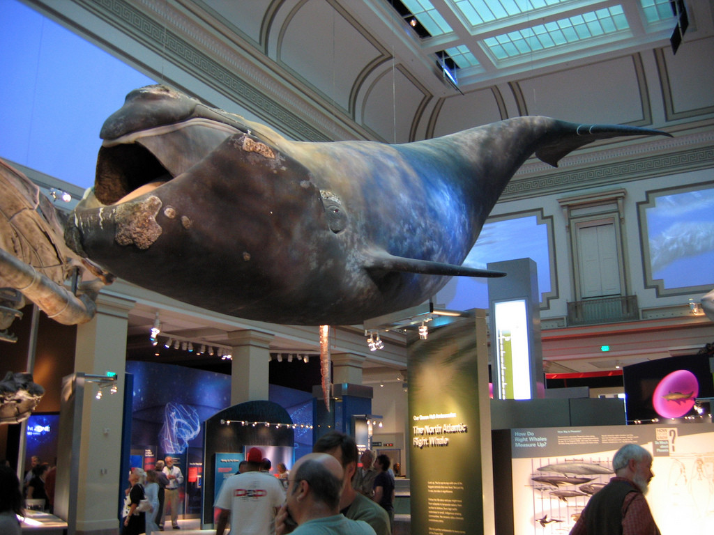 Museo Nacional de Historia Natural Smithsonian