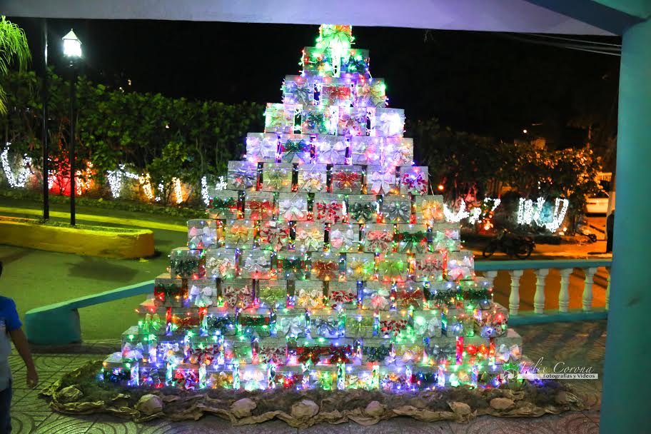 Arbol-Sosua-1