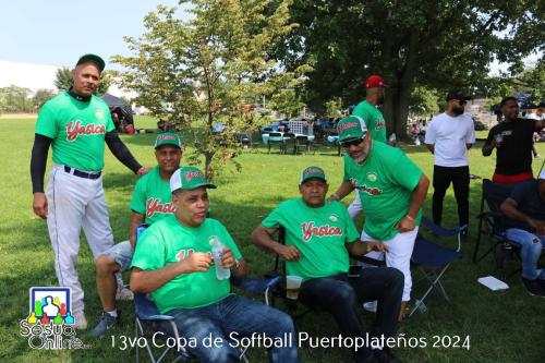 Cecopa sofball, vol110