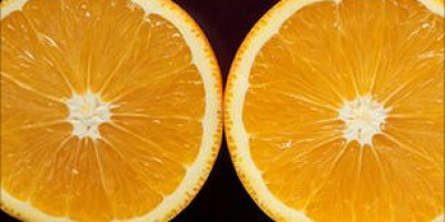 110915143419_orange_304x171_bbc_nocredit_2