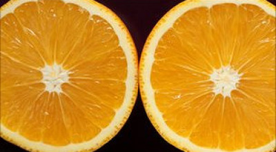 110915143419_orange_304x171_bbc_nocredit_2