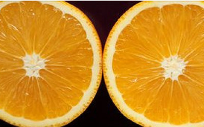 110915143419_orange_304x171_bbc_nocredit_2