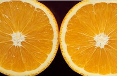 110915143419_orange_304x171_bbc_nocredit_2