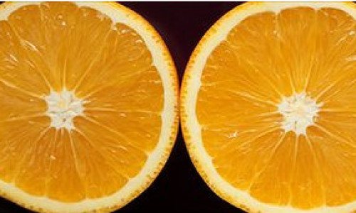 110915143419_orange_304x171_bbc_nocredit_2