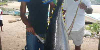 P1190675pesces