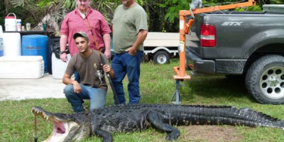 Tim-Stroh-capturo-gran-caiman-cana-pescar1
