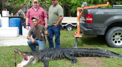 Tim-Stroh-capturo-gran-caiman-cana-pescar1