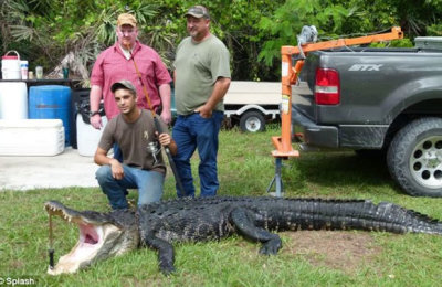 Tim-Stroh-capturo-gran-caiman-cana-pescar1