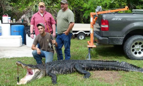 Tim-Stroh-capturo-gran-caiman-cana-pescar1