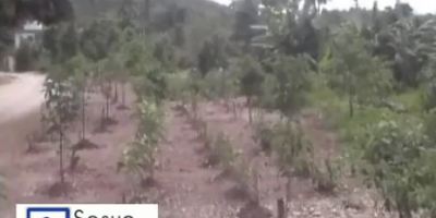 el_tablon_ahora