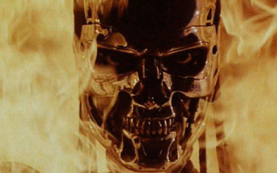 not_int_terminator_1