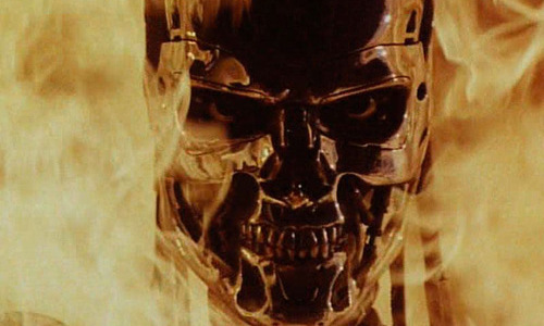 not_int_terminator_1
