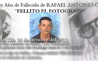 FELLITO_copia