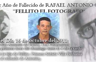 FELLITO_copia