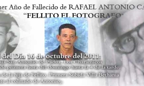 FELLITO_copia