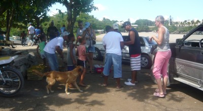 P1120676_copia