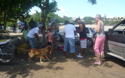 P1120676_copia