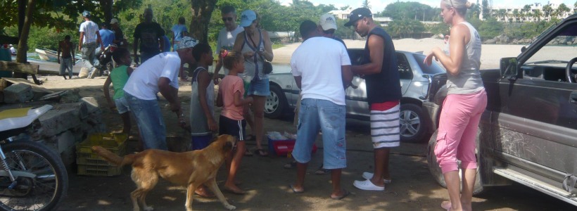 P1120676_copia