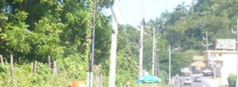 P1200158