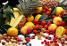 alimento1
