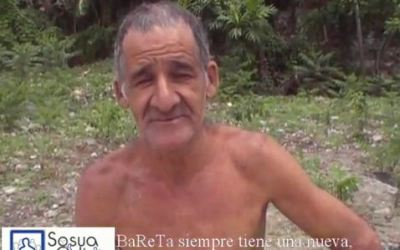 bareta