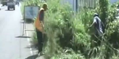 brigada_de_ornato1
