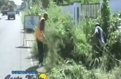 brigada_de_ornato1