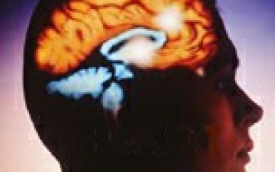 cerebro46567