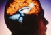 cerebro46567