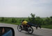 motorista_abusador