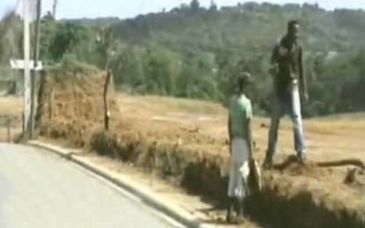 problemas_con_terrenos_en_los_castillo