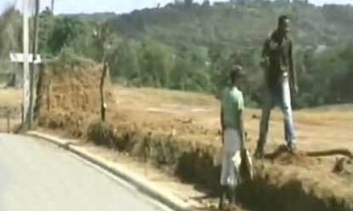 problemas_con_terrenos_en_los_castillo