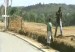 problemas_con_terrenos_en_los_castillo
