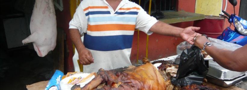 puerco_asao_online