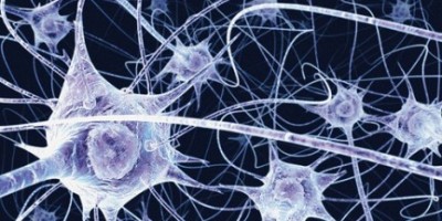 tecnologiablog_1neuronas