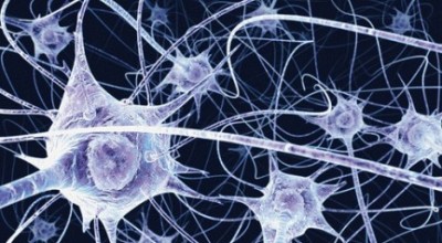 tecnologiablog_1neuronas