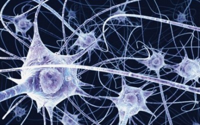 tecnologiablog_1neuronas