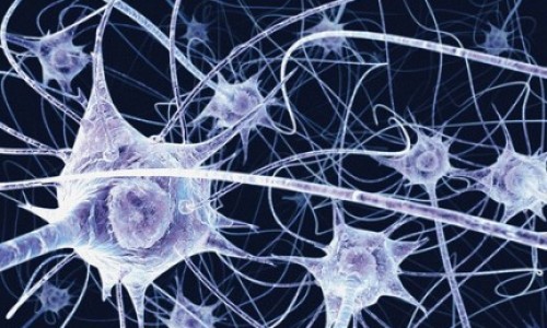 tecnologiablog_1neuronas