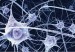 tecnologiablog_1neuronas
