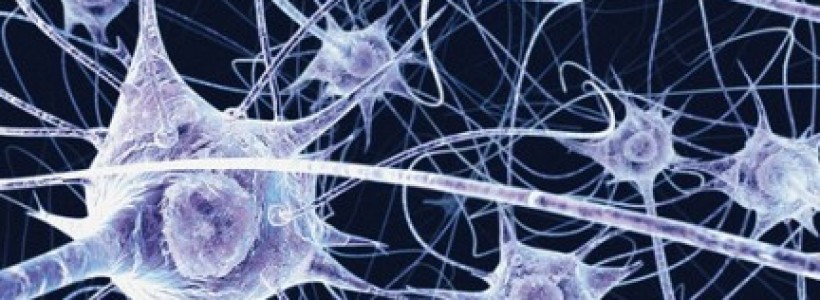 tecnologiablog_1neuronas